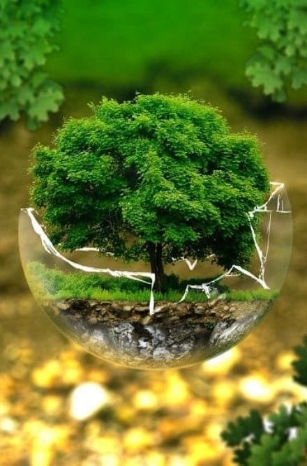 Besa Çevre Danışmanlık | İzmir Karbon Ayak İzi & MSDS Hizmetleri