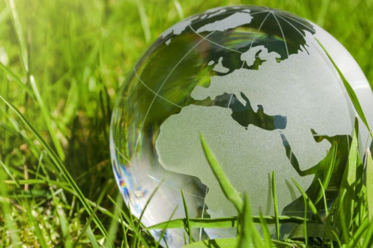 Çevre Danışmanlık Hizmetleri