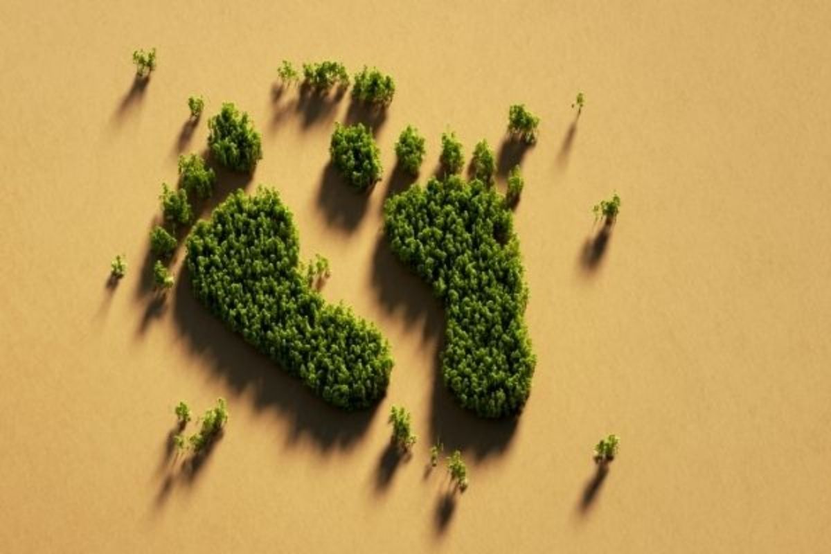 Karbon Ayak İzi Danışmanlığı