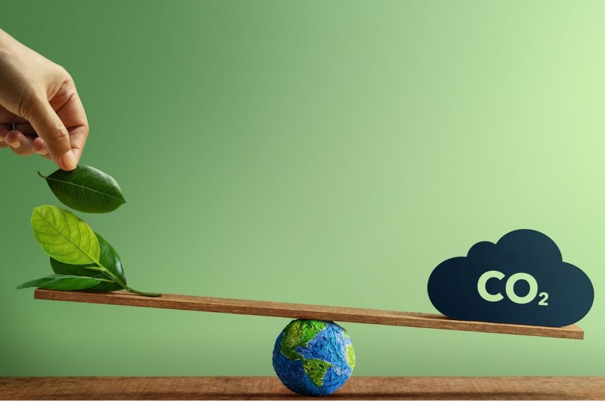 Sınırda Karbon Düzenleme Mekanizması